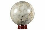 Polished Dendritic Agate Sphere - Madagascar #218925-1